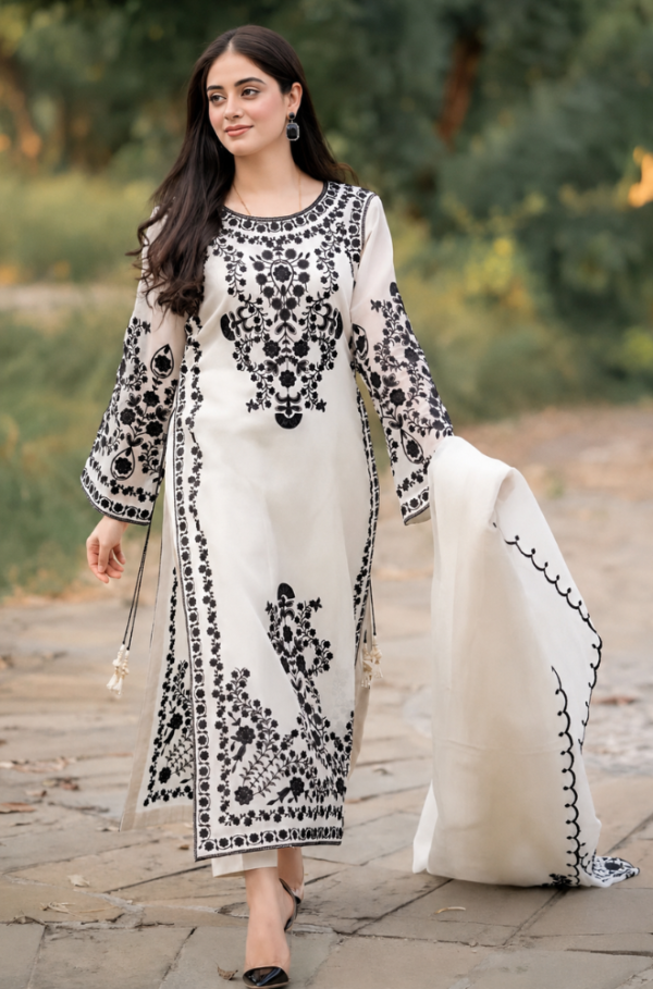 Onyx Grace 3 Piece Monochromatic Heavy Embroidered Lawn Suit